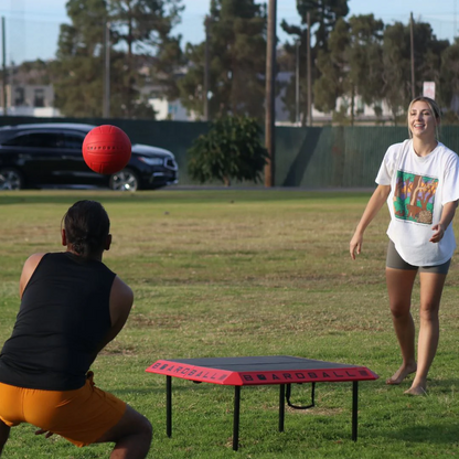 Boardball Set