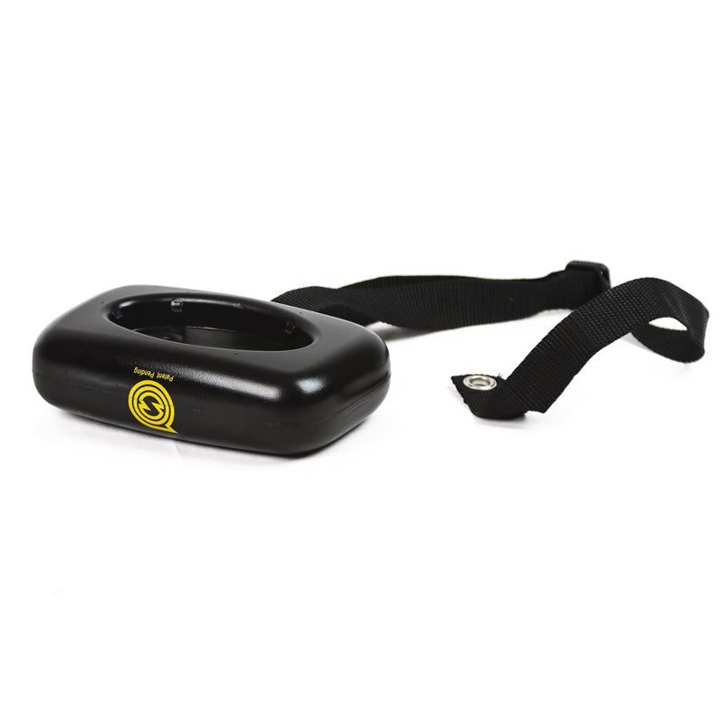 Spikeball Standard Set mit 3 Bällen + Spikebouy Set